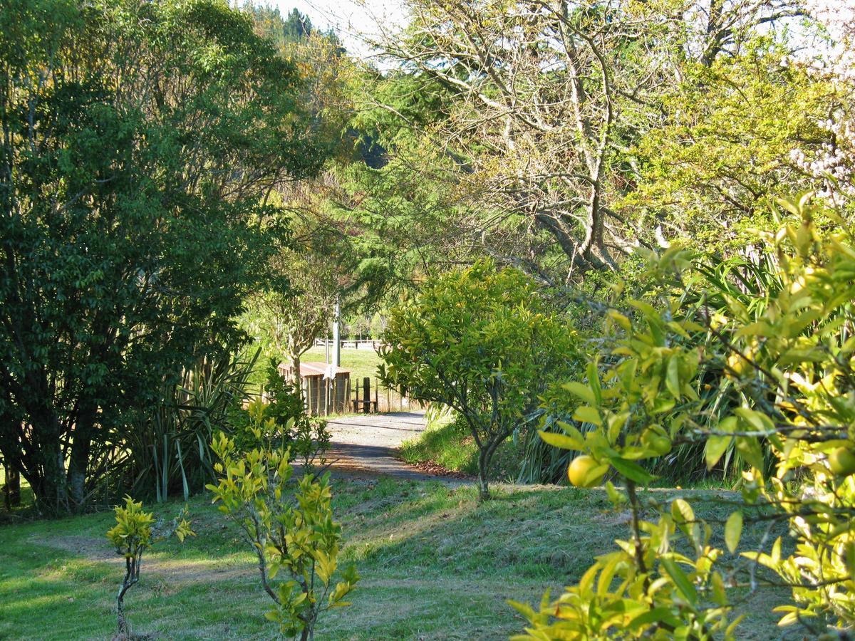 Corru Gate Villa Mapua Exterior foto